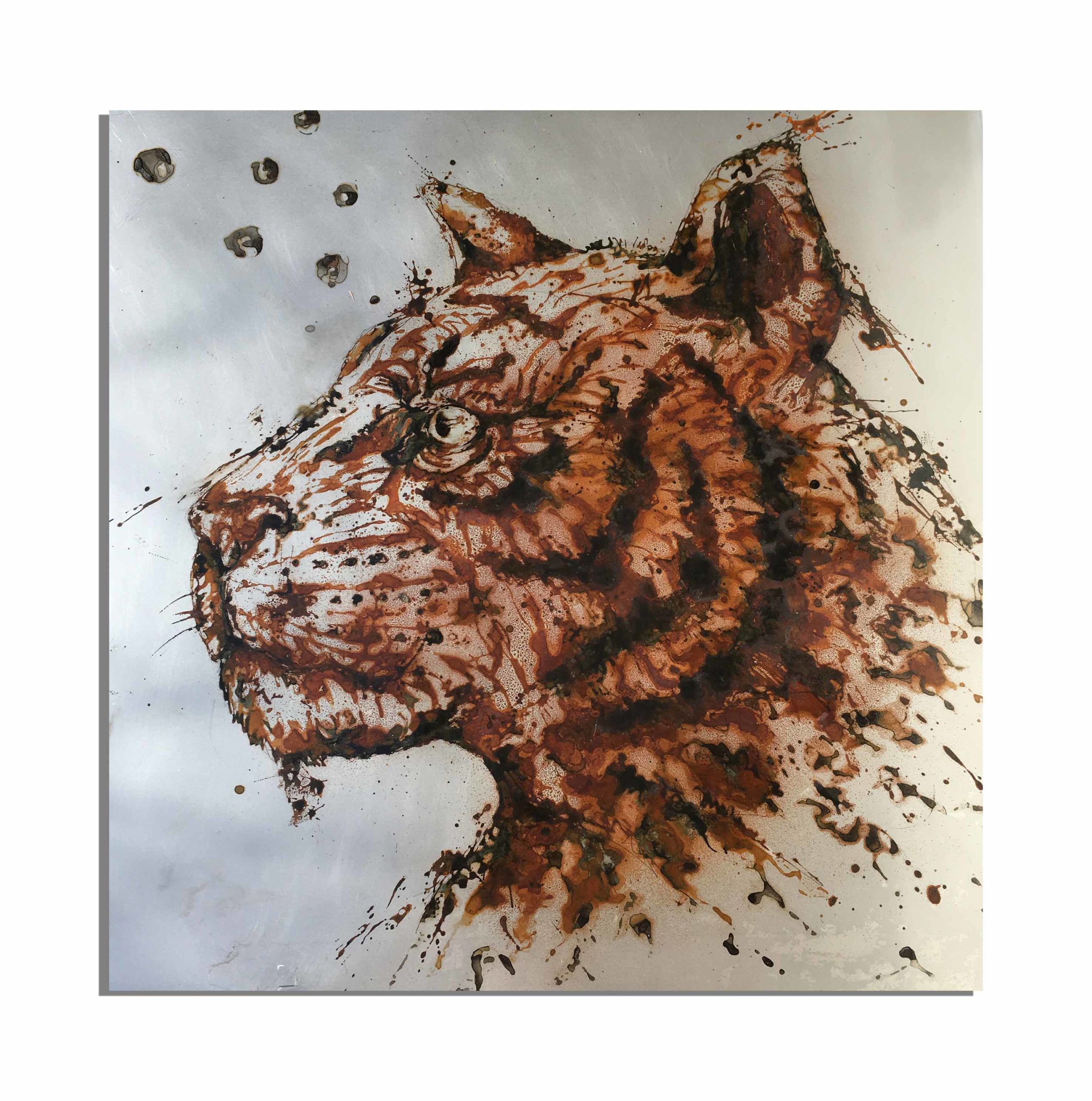 70x70 - tigre de rouille - vinaigre et eau du lac sacré d'Udaïpur (Rajhastan, Inde), projet Water Is Life, Christophe Monteil, Art 4 nature