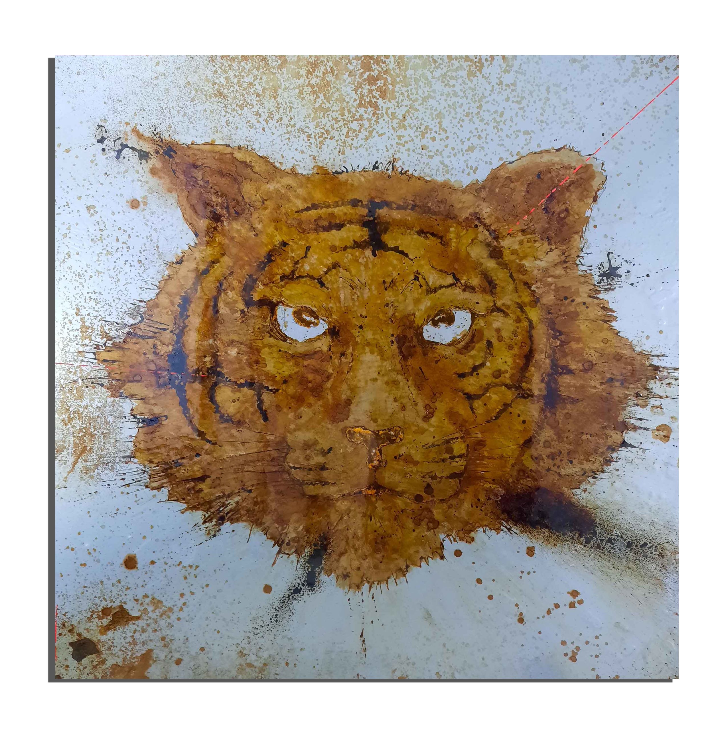Tigre de rouille fait avec du vinaigre et de l'eau du lac sacré d'Udaïpur (Rajhastan, Inde) - projet Water Is Life, Christophe Monteil, Art 4 Nature
