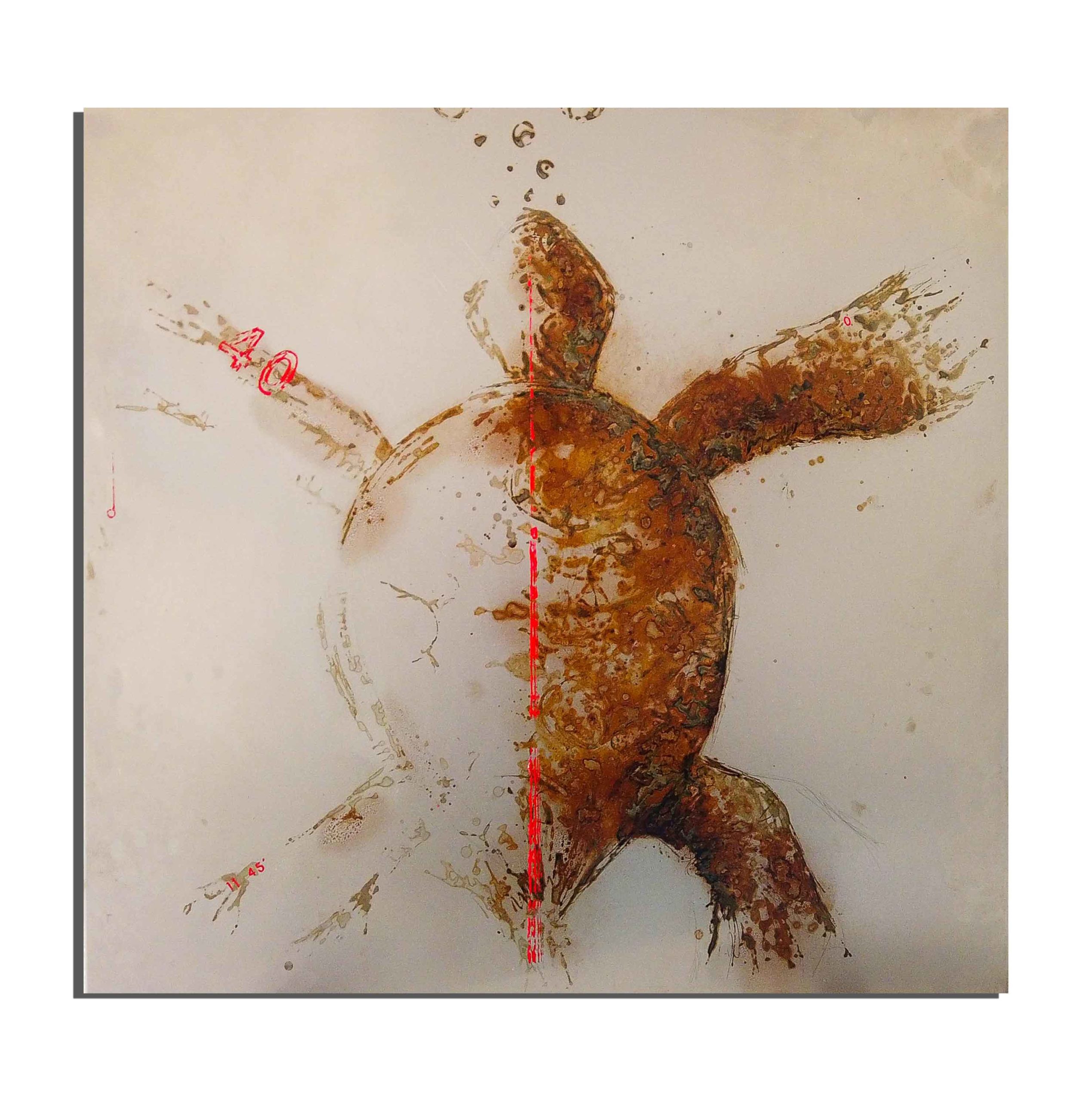 Tortue de rouille fait avec du vinaigre et de l'eau de la plage de Pointe Noire (Congo) - projet Water Is Life, Christophe Monteil, Art 4 Nature