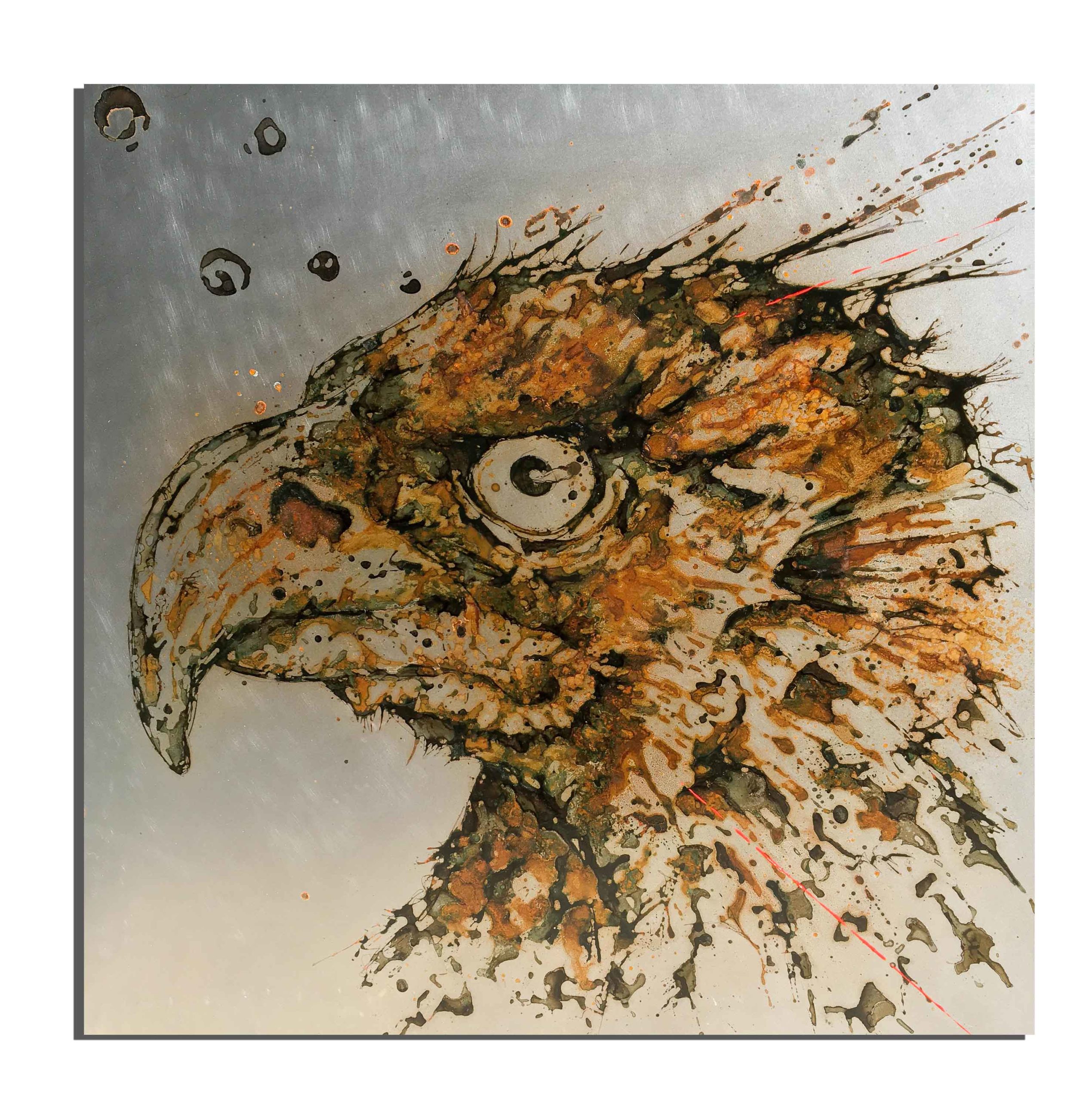 Aigle de rouille fait avec du vinaigre et de l'eau de la Réserve Naturelle de Py (Pyrénées, France) - projet Water Is Life, Christophe Monteil, Art 4 Nature