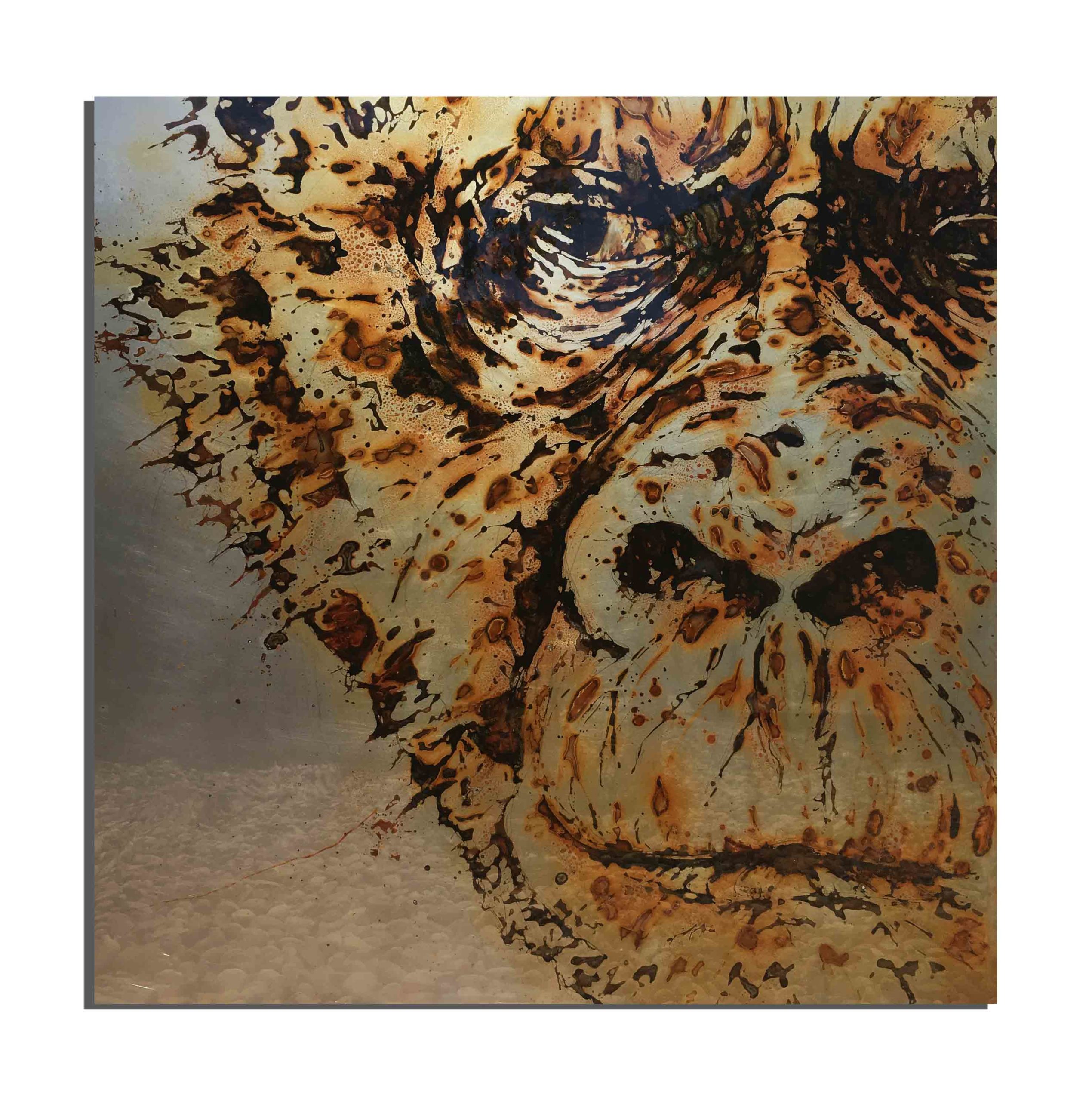 Rhino de rouille fait avec du vinaigre et de l'eau de Barcelone (Catalogne, France) - projet Water Is Life, Christophe Monteil, Art 4 Nature