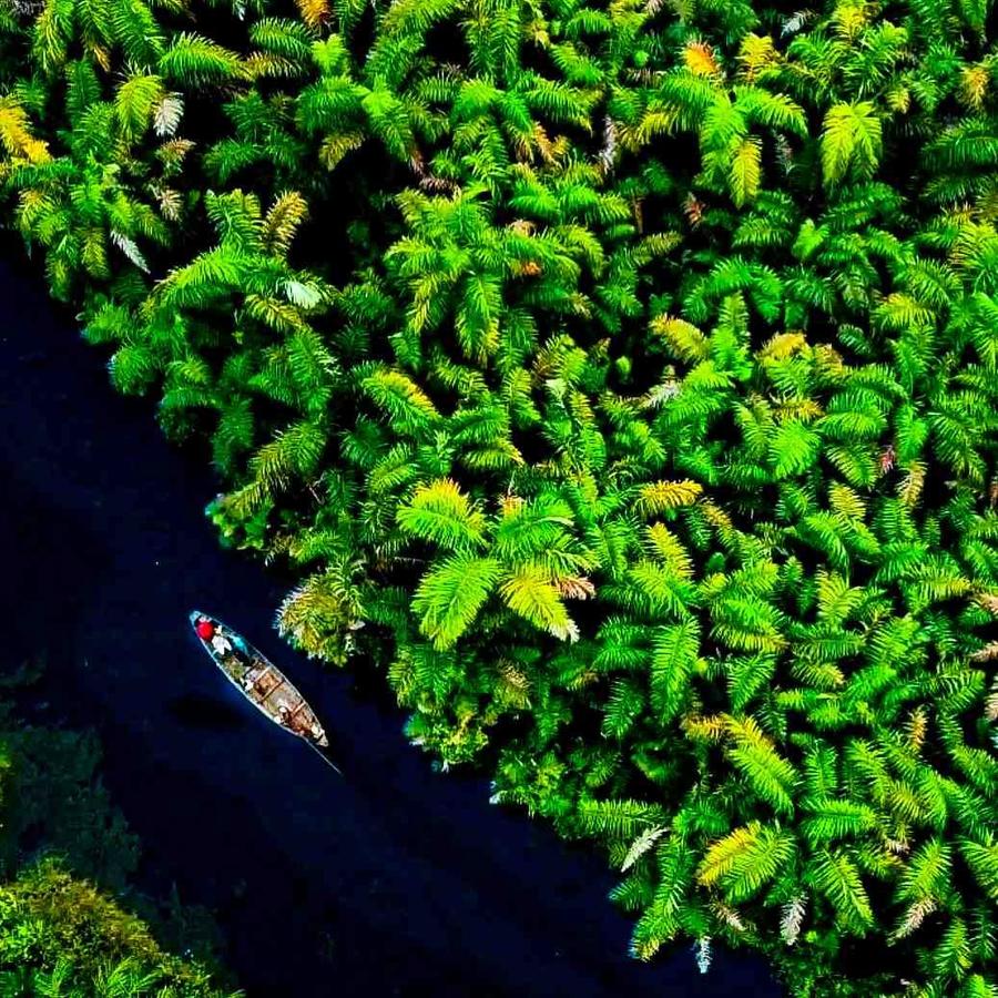 Atlas of Water — Rivière Noire, Bénin. Eau collectée par Christophe Monteil pour la peinture à la rouille sur acier, série Atlas of Water