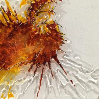 PUSHKAR BRO Paint on plexi, christophe monteil, kriss, art, india, pushkar