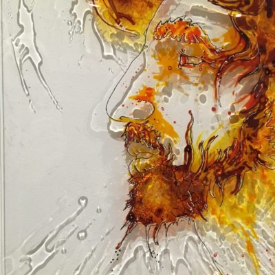 PUSHKAR BRO Paint on plexi, christophe monteil, kriss, art, india, pushkar
