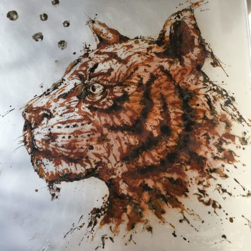 big_cat.jpg rust on metal, vinegar and water from the holly lake of Udaïpur, Rajhastan, India